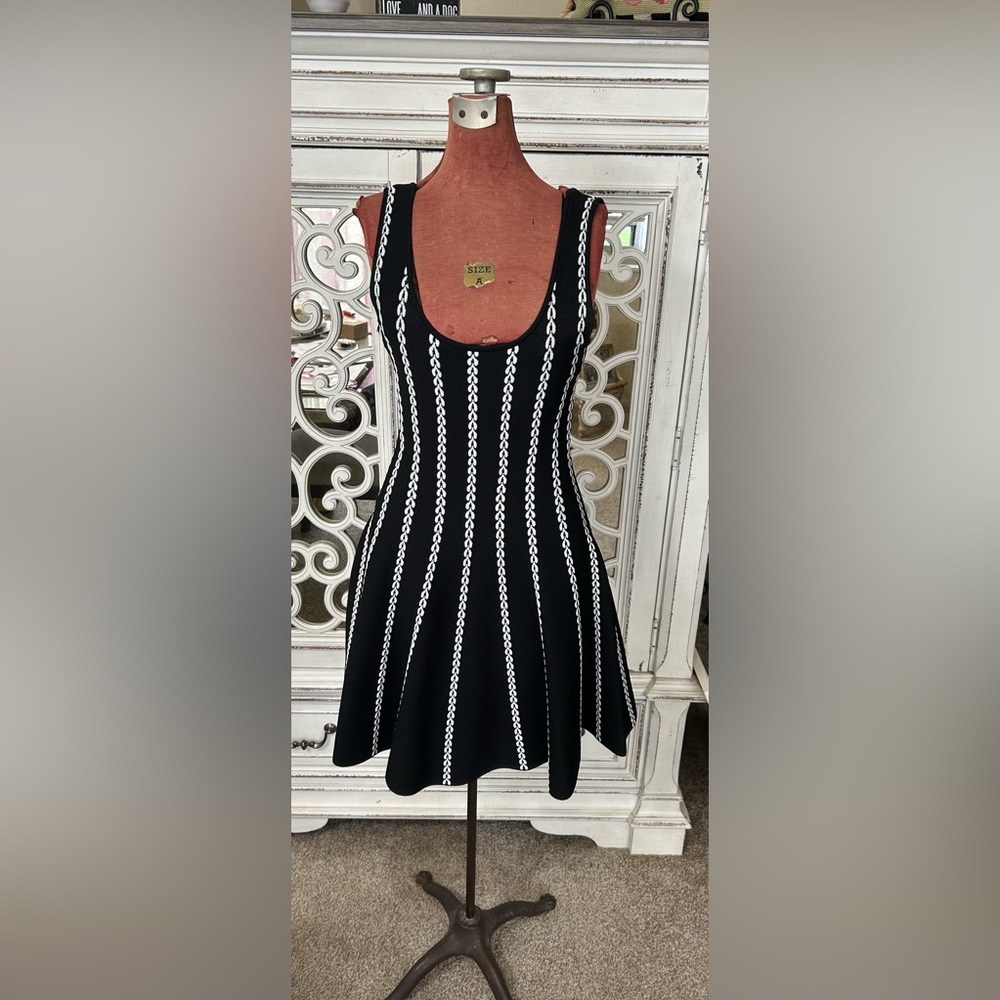 Bebe Black Tank Dress with White Design (S)